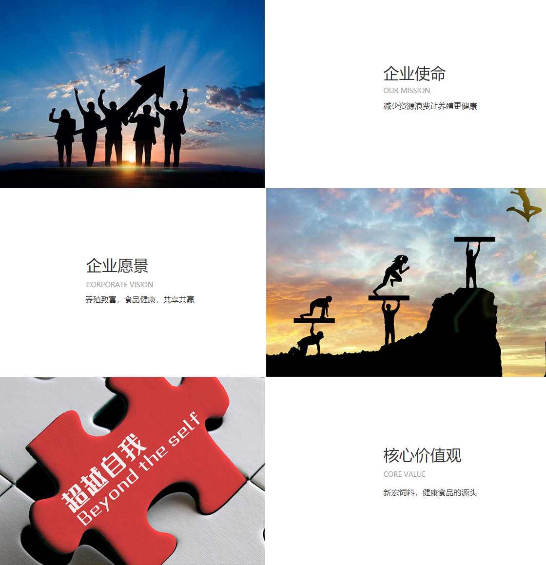 best365官方网站进入(图1)
